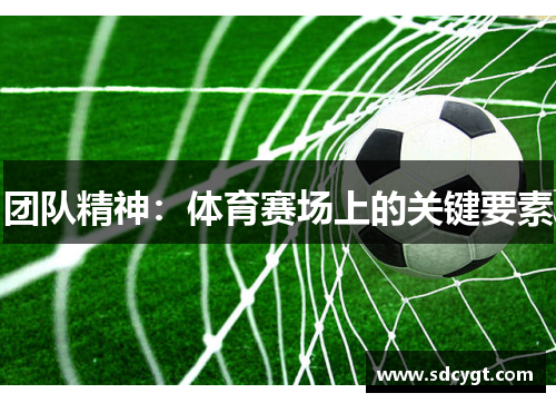 团队精神：体育赛场上的关键要素