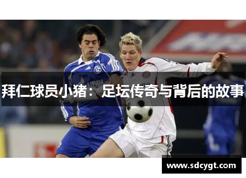 拜仁球员小猪：足坛传奇与背后的故事
