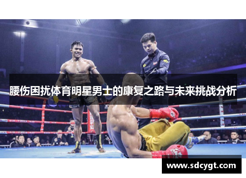 腰伤困扰体育明星男士的康复之路与未来挑战分析