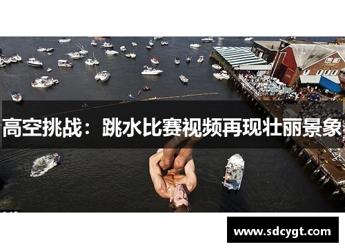 高空挑战：跳水比赛视频再现壮丽景象
